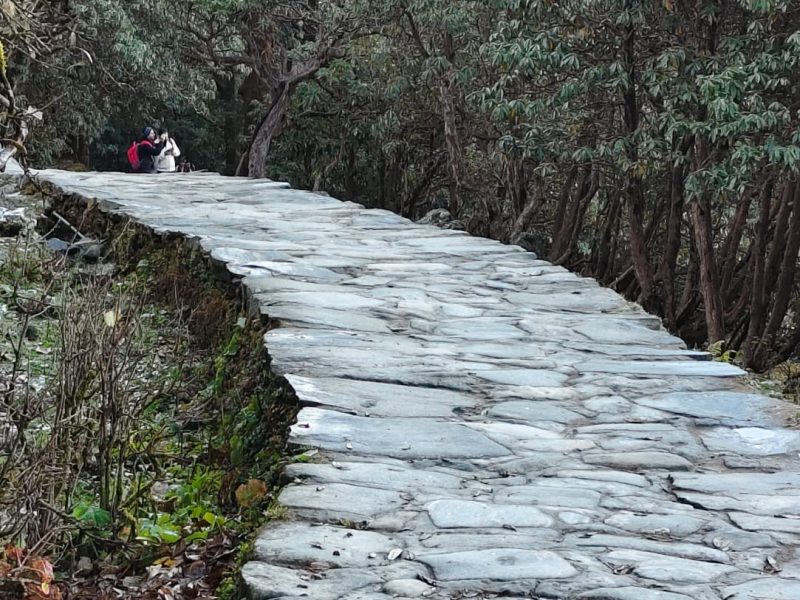 Trek Route of Tungnath, Uttrakhand